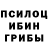Псилоцибиновые грибы Magic Shrooms Samaan Saidd