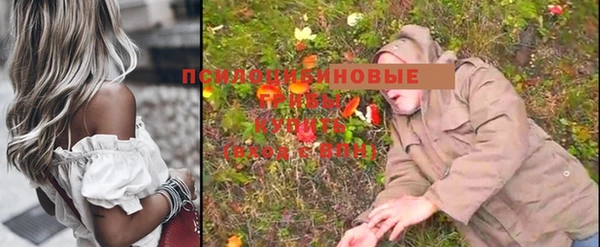 spice Волосово