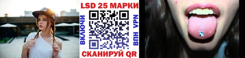 блэк спрут как зайти Щучье Марки N-bome 1,8мг
